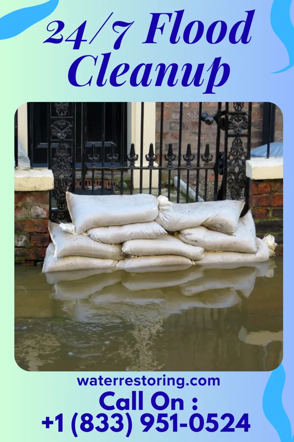 24/7 Flood Cleanup in Edgewood, IL