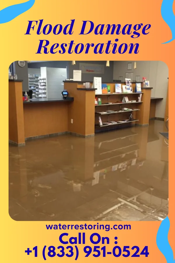 Flood Damage Restoration in Edgewood, IL